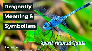 Dragonfly Meaning and Symbolism [upl. by Adlanor]