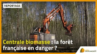 Centrale biomasse  la forêt française en danger [upl. by Perri]