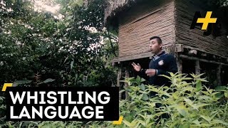 Indigenous Whistle Language In Mexico [upl. by Gusta102]