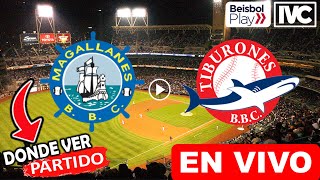 Magallanes vs Tiburones EN VIVO donde ver y a que hora juega Navegantes vs La Guaira LVBP streaming [upl. by Llerrod]