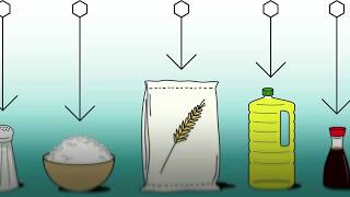 Food Fortification  Basics [upl. by Josler]