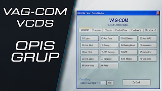 Opis grup parametrów w programach VCDS  VAGCOM [upl. by Benge]