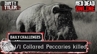 Collared Peccary Pig RDR2 Daily Challenges Peccaries Location Red Dead Online [upl. by Nosyt]