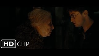 Godrics Hollow Part 2  Harry Potter and the Deathly Hallows Part 1 [upl. by Steinway]