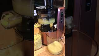 Using my Hurom juicer to make lemon juice [upl. by Willis653]