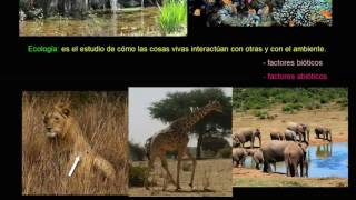 Introducción a la ecología  Ecología  Biología  Khan Academy en Español [upl. by Sugirdor]