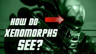 The Deacon Xenomorph Ultramorph  Explained [upl. by Emmanuel]