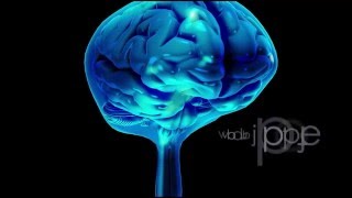 Neuroanatomy The Cerebrospinal Fluid CSF [upl. by Narda]