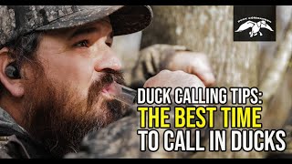 The Best Time to Call In Ducks  Duck Calling Tips [upl. by Korwin]