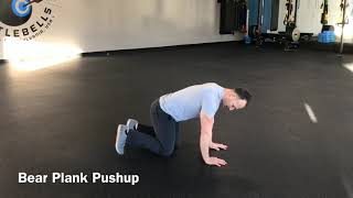 Bear Plank Pushup [upl. by Grania]