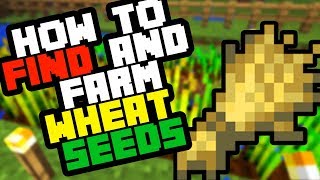 How to Find Wheat Seeds in Minecraft Survival 2019 And Farm Them [upl. by Emelyne]