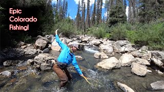 The TOP 10 fishing spots in Colorado  McFly Angler Fly Fishing [upl. by Haliek288]