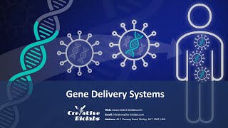 Gene Delivery Systems for Gene Therapy  Creative Biolabs [upl. by Bodrogi]