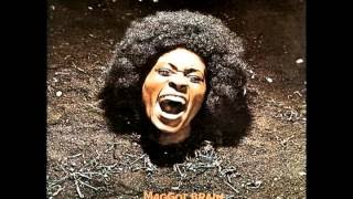 Funkadelic  Maggot Brain  Full Album [upl. by Kenlay824]