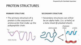 Chapter 23 Biological Molecules  Proteins [upl. by Woodman]