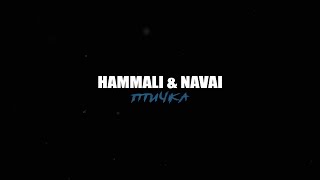 HammAli amp Navai  Птичка [upl. by Adelia510]