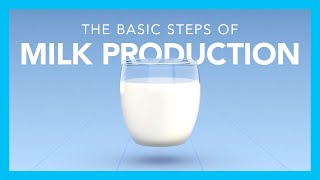 The basic steps of milk production [upl. by Kennith84]