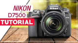 Nikon D7500 Tutorial  How To Setup Your DSLR [upl. by Ivanna189]