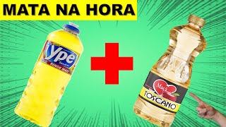 COMO ACABAR COM AS FORMIGAS EM 1 MINUTO USE E COMPROVE [upl. by Esbenshade297]