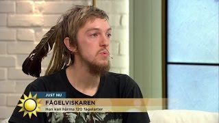 Han kan härma 120 fågelarter  Nyhetsmorgon TV4 [upl. by Yvonne]