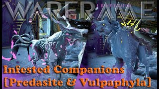 Warframe  Infested Companions Predasite amp Vulpaphyla Companions [upl. by Aicekal]