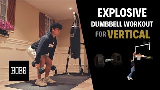 EXPLOSIVE Dumbbell Exercises to JUMP HIGHER  Vertical Jump [upl. by Irehs]