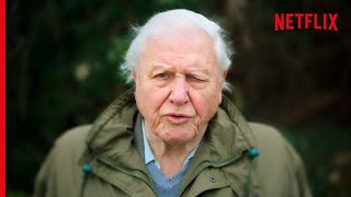 Sir David Attenborough On The Devastating Truth About Coral Reefs [upl. by Griz]