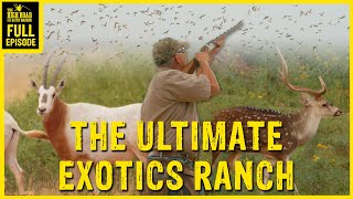 The ULTIMATE Exotics Ranch [upl. by Aldredge]