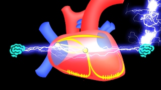 🔴 APPRENEZ LE SYSTEME ELECTRIQUE DU COEUR EN 7 MIN EN 2017   DR ASTUCE [upl. by Aicnilav]