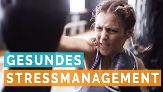 Gesundes Stressmanagement nach Lazarus Stressmodell [upl. by Hekker]