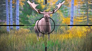 Hunting GIGANTIC Moose in Hunting Simulator 2 [upl. by Aifos]