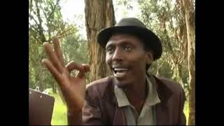 Eritrean comedy suzinino tafla and behabelom Trgum [upl. by Watt340]