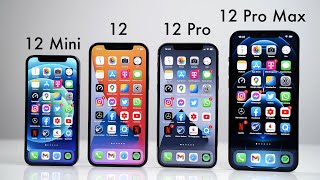 Apple iPhone 12 vs Mini vs 12 Pro vs 12 Pro Max  Die wichtigsten Unterschiede Deutsch  SwagTab [upl. by Honniball15]