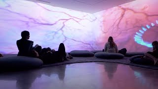 Pipilotti Rist Sip my Ocean  Museum of Contemporary Art Australia Sydney [upl. by Truscott]