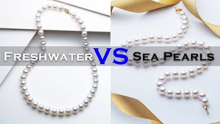 Freshwater Pearls vs Sea Pearls Akoya Pearls [upl. by Aala]