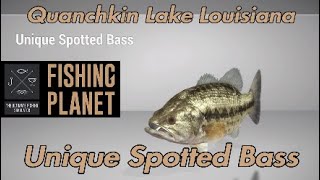 Unique Spotted Bass  Quanchkin Lake Louisiana  Fishing Planet Guide [upl. by Bandeen887]