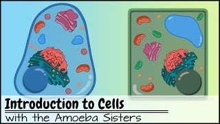 Introduction to Cells The Grand Cell Tour [upl. by Anierdna]