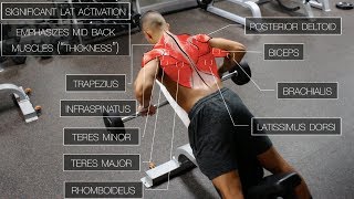 The Best ScienceBased Back Workout TARGET EVERY MUSCLE [upl. by Nuahsad]