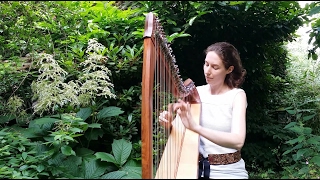 Celtic Harp Solo quotA la Sourcequot by Nadia Birkenstock Keltische Harfe [upl. by Anastase]