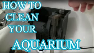 How to clean an aquarium  Beginners guide [upl. by Eki408]