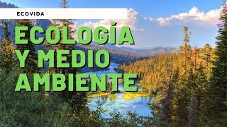 ECOLOGÍA y MEDIO AMBIENTE VIDEO EDUCATIVO ✅ [upl. by Blythe]