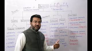 Classification of Proteins [upl. by Budd]