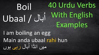 Basic Urdu Verbs with Examples  Urdu Grammar Lesson [upl. by Atileda]