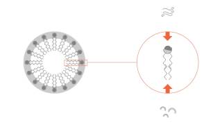 What is a micelle [upl. by Hillier]