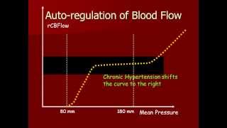 Autoregulation of Cerebral Blood [upl. by Ednihek613]