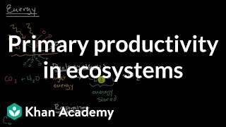 Primary productivity in ecosystems Matter and Energy Flow AP Environmental Science Khan Academy [upl. by Mclyman]