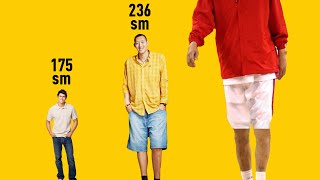 TALLEST people in the WORLD comparison  World Data [upl. by Arakawa]