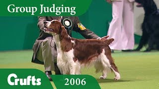 Welsh Springer Spaniel wins Gundog Group Judging at Crufts 2006 [upl. by Alecia734]