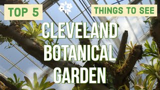 Cleveland Botanical Garden  5 best things to see here [upl. by Ahsiyt]