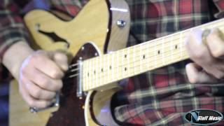 Fender American Deluxe Telecaster Thinline [upl. by Cosenza]